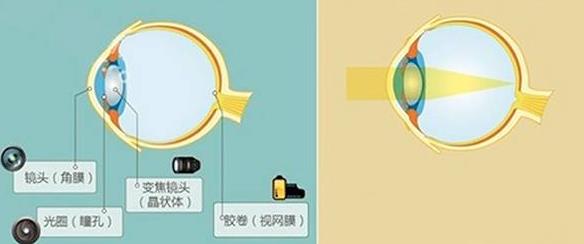 怎么佩戴老花鏡？驗光 品牌 質(zhì)量 保養(yǎng)一個都不能少