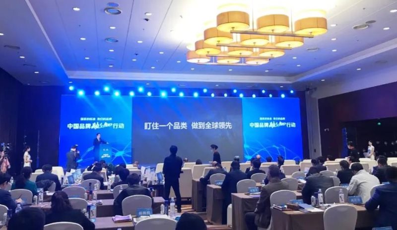 定了！美麗島進了國家隊，新華社專訪