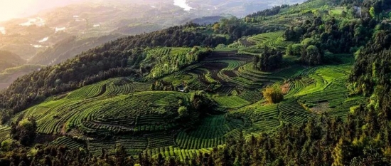 美麗島多焦鏡：這個(gè)明凈新春，以時(shí)間為軸，扶搖直上